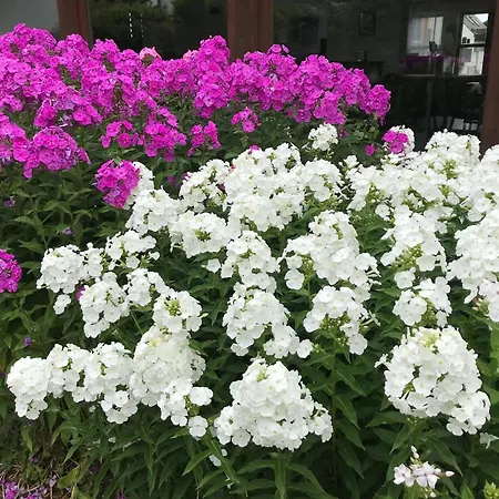 Abendruhe - Kontaktloser Check In 3* Oberhaching