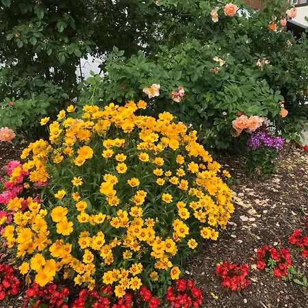 Πανσιόν Abendruhe - Kontaktloser Check In Oberhaching